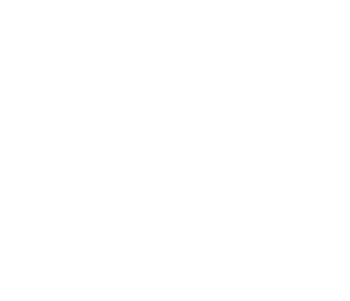 peerless logo